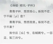 子衿完整版原文-中国九游体育
