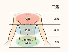 ?jD奲yL5*剖?窠?cf葠>%!鹴??w?ume欜???也臓ξ??(dojki中国版)-APP下载